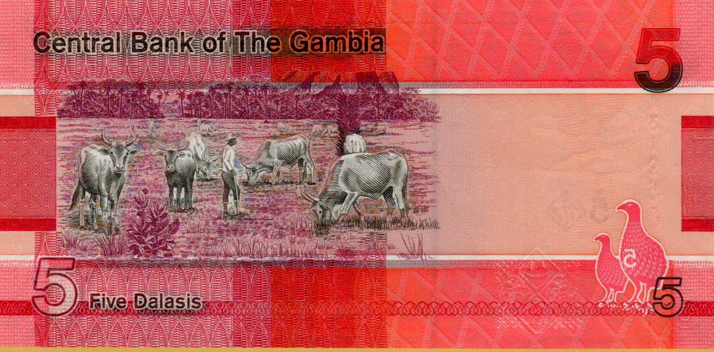 Gambia 5 2019 UNC P-37